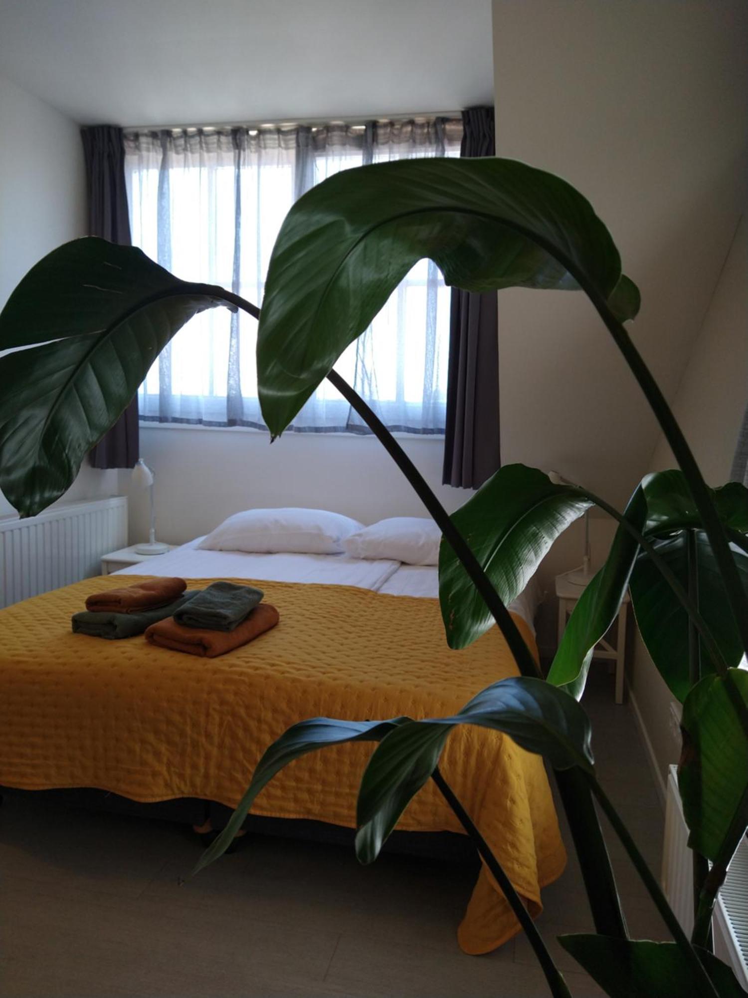 Bed & Brasserie Het Kosthuys Sint-Maartensdijk